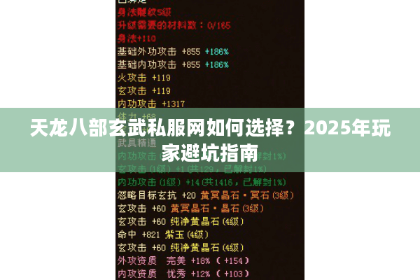天龙八部玄武私服网如何选择？2025年玩家避坑指南