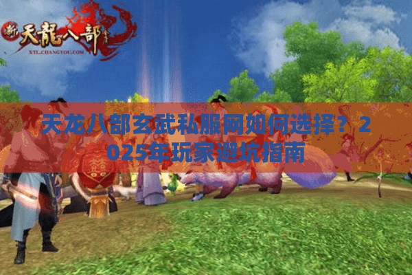 天龙八部玄武私服网如何选择？2025年玩家避坑指南