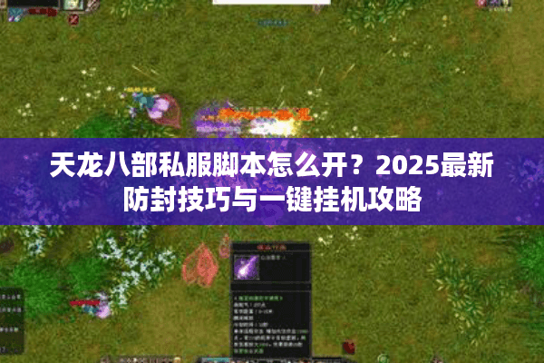 天龙八部私服脚本怎么开？2025最新防封技巧与一键挂机攻略