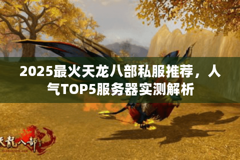 2025最火天龙八部私服推荐，人气TOP5服务器实测解析