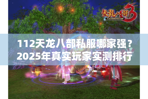 112天龙八部私服哪家强？2025年真实玩家实测排行榜