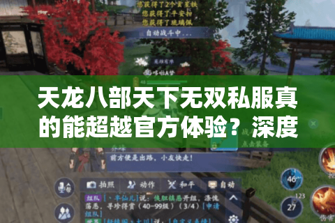 天龙八部天下无双私服真的能超越官方体验？深度解析2025玩家真实诉求