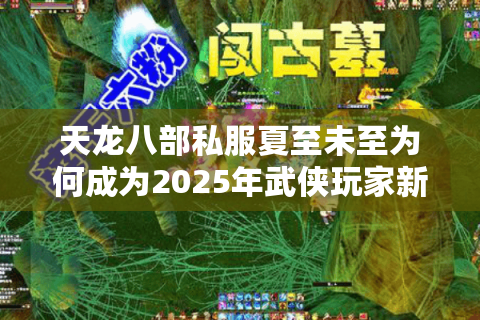 天龙八部私服夏至未至为何成为2025年武侠玩家新宠? 天龙八部私服夏至未至为何成为2025年武侠玩家新宠?