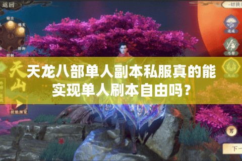 天龙八部单人副本私服真的能实现单人刷本自由吗？