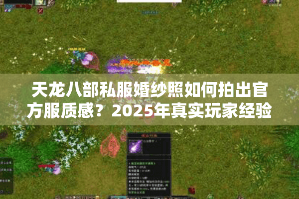 天龙八部私服婚纱照如何拍出官方服质感？2025年真实玩家经验分享