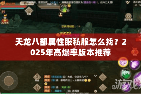 天龙八部属性服私服怎么找？2025年高爆率版本推荐