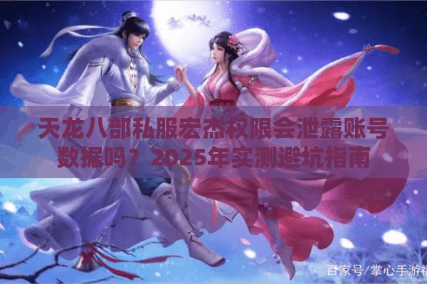 天龙八部私服宏杰权限会泄露账号数据吗？2025年实测避坑指南