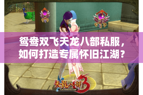 鸳鸯双飞天龙八部私服，如何打造专属怀旧江湖？