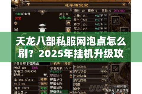 天龙八部私服网泡点怎么刷？2025年挂机升级攻略大揭秘