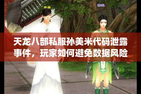 天龙八部私服孙美米代码泄露事件，玩家如何避免数据风险？
