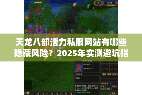 天龙八部活力私服网站有哪些隐藏风险？2025年实测避坑指南