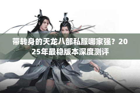 带转身的天龙八部私服哪家强？2025年最稳版本深度测评