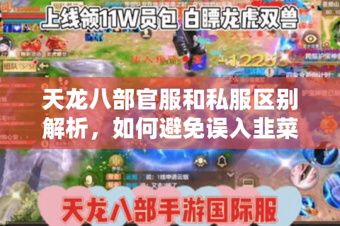 天龙八部官服和私服区别解析，如何避免误入韭菜服？