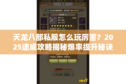 天龙八部私服怎么玩厉害？2025速成攻略揭秘爆率提升秘诀