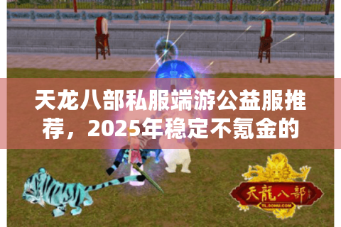 天龙八部私服端游公益服推荐，2025年稳定不氪金的版本存在吗？
