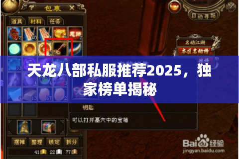 天龙八部私服推荐2025，独家榜单揭秘