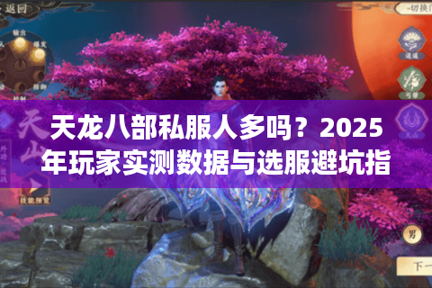 天龙八部私服人多吗？2025年玩家实测数据与选服避坑指南
