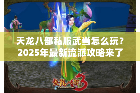 天龙八部私服武当怎么玩？2025年最新流派攻略来了