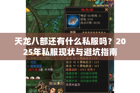 天龙八部还有什么私服吗？2025年私服现状与避坑指南