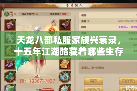 天龙八部私服家族兴衰录,十五年江湖路藏着哪些生存法则? 天龙八部私服家族兴衰录,十五年江湖路藏着哪些生存法则?