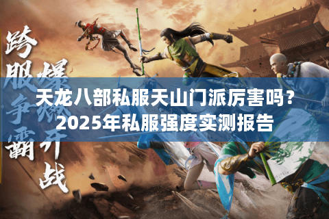天龙八部私服天山门派厉害吗？2025年私服强度实测报告