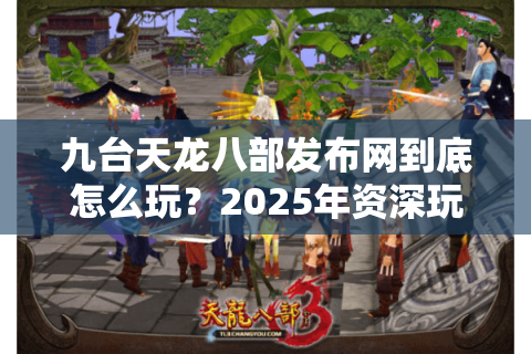 九台天龙八部发布网到底怎么玩？2025年资深玩家实战指南