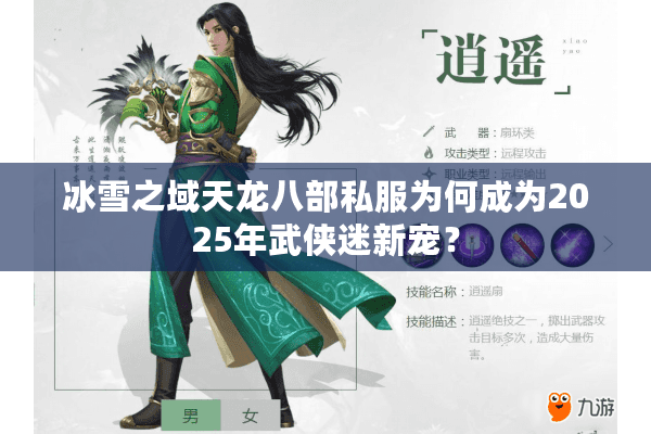 冰雪之域天龙八部私服为何成为2025年武侠迷新宠？