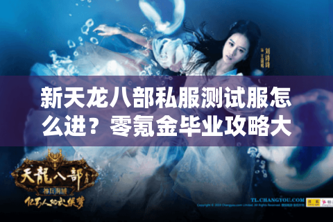 新天龙八部私服测试服怎么进？零氪金毕业攻略大揭秘