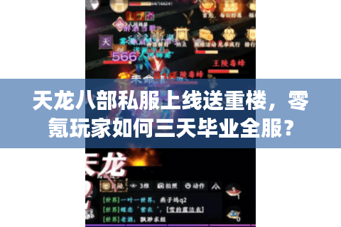 天龙八部私服上线送重楼，零氪玩家如何三天毕业全服？