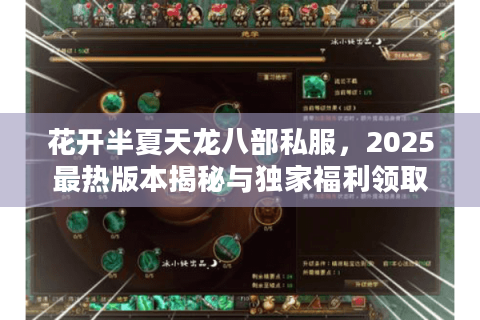 花开半夏天龙八部私服，2025最热版本揭秘与独家福利领取攻略