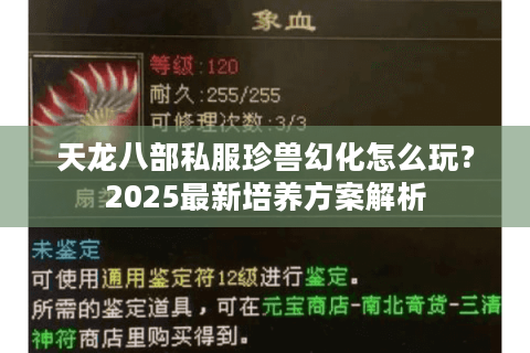 天龙八部私服珍兽幻化怎么玩?2025最新培养方案解析 天龙八部私服珍兽幻化怎么玩?2025最新培养方案解析