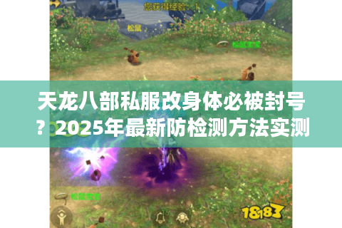 天龙八部私服改身体必被封号？2025年最新防检测方法实测