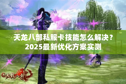 天龙八部私服卡技能怎么解决？2025最新优化方案实测