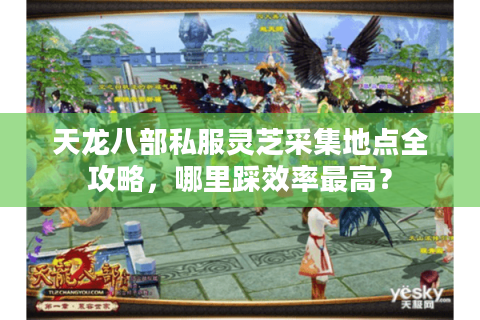 天龙八部私服灵芝采集地点全攻略，哪里踩效率最高？