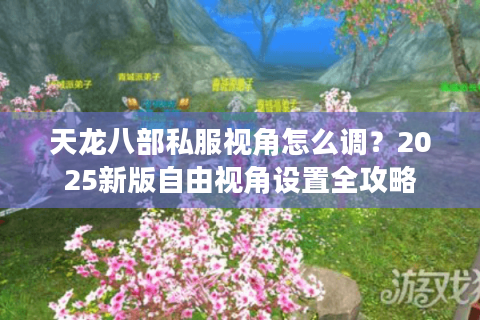 天龙八部私服视角怎么调？2025新版自由视角设置全攻略