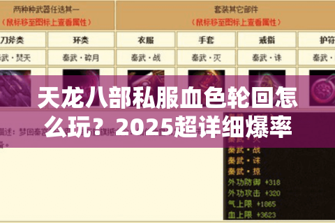 天龙八部私服血色轮回怎么玩？2025超详细爆率提升攻略