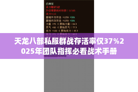 天龙八部私服群战存活率仅37%2025年团队指挥必看战术手册