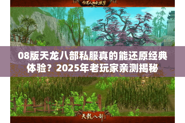 08版天龙八部私服真的能还原经典体验？2025年老玩家亲测揭秘