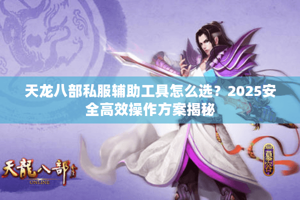 天龙八部私服辅助工具怎么选？2025安全高效操作方案揭秘