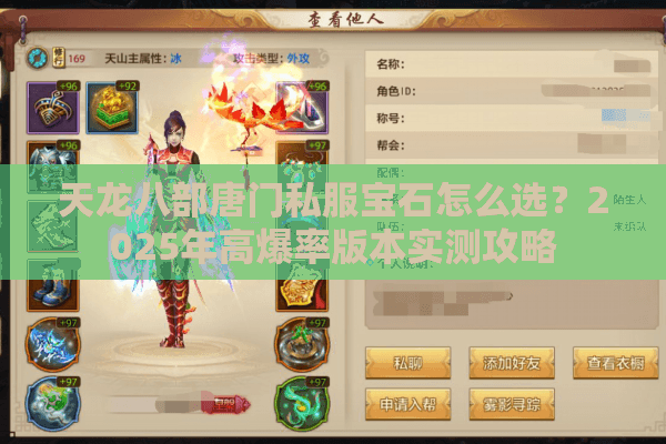 天龙八部唐门私服宝石怎么选？2025年高爆率版本实测攻略