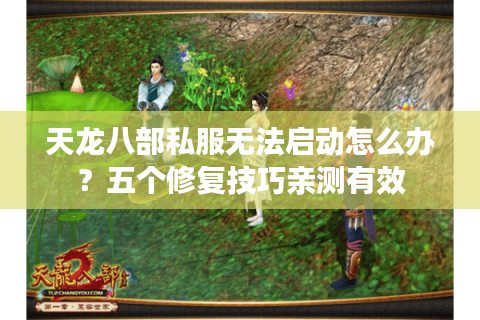 天龙八部私服无法启动怎么办？五个修复技巧亲测有效