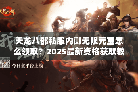 天龙八部私服内测无限元宝怎么领取？2025最新资格获取教程