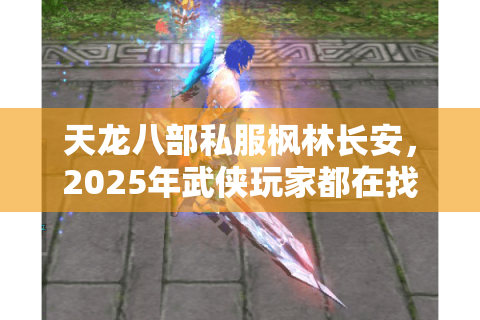天龙八部私服枫林长安，2025年武侠玩家都在找的跨服战场怎么玩？