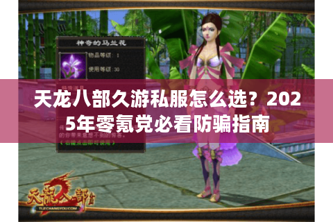 天龙八部久游私服怎么选？2025年零氪党必看防骗指南