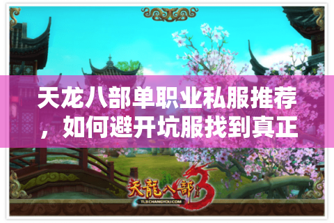 天龙八部单职业私服推荐，如何避开坑服找到真正的经典版本？