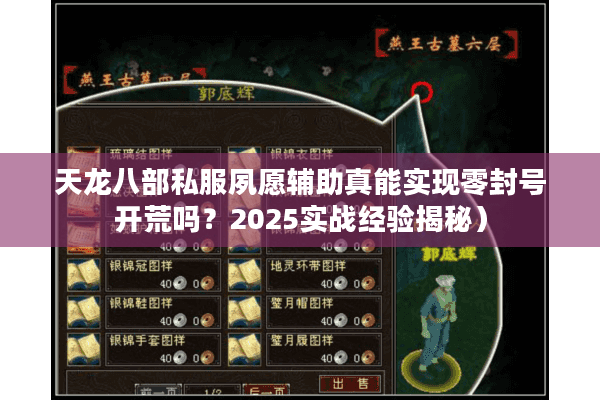 天龙八部私服夙愿辅助真能实现零封号开荒吗？2025实战经验揭秘）