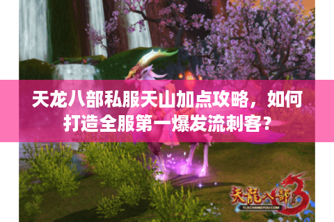 天龙八部私服天山加点攻略，如何打造全服第一爆发流刺客？