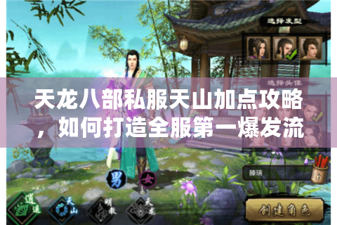 天龙八部私服天山加点攻略，如何打造全服第一爆发流刺客？