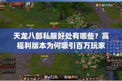 天龙八部私服好处有哪些？高福利版本为何吸引百万玩家