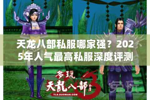 天龙八部私服哪家强？2025年人气最高私服深度评测